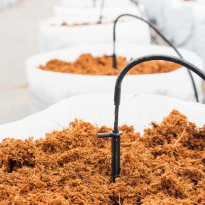 قوالب کوکوبیت 5 كغ