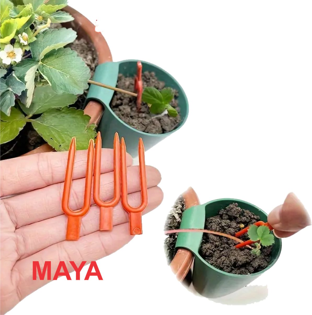 گیره-نشاء-کاری-توت-فرنگی Garden strawberry planting fork