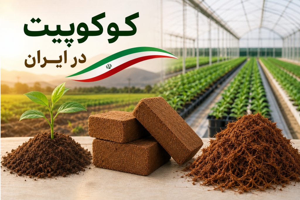 کوکوپیت در ایران